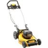 DEWALT Akku-Rasenmäher DCMW564N, 36Volt (2x18V) -Gartenwerkzeuge Geschäft DEWALT Akku Rasenm her DCMW564N 36Volt 2x18V @@1438462
