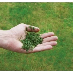 Einhell Benzin-Rasenmäher GC-PM 51/3 S HW-E 21 Einhell Benzin-Rasenmäher GC-PM 51/3 S HW-E -Gartenwerkzeuge Geschäft Einhell Benzin Rasenm her GC PM 51 3 S HW E@@1716354 4