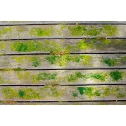 Ryobi Akku-Oberflächenreiniger RY18PCB-0, 18Volt, Hartbodenreiniger -Gartenwerkzeuge Geschäft Ryobi Akku Oberfl chenreiniger RY18PCB 0 18Volt Hartbodenreiniger@@1912723 7