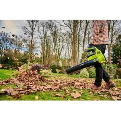 Ryobi MAX POWER Akku-Laubgebläse RY36BLA-0, 36Volt 10 Ryobi MAX POWER Akku-Laubgebläse RY36BLA-0, 36Volt -Gartenwerkzeuge Geschäft Ryobi MAX POWER Akku Laubgebl se RY36BLA 0 36Volt@@1782045 3