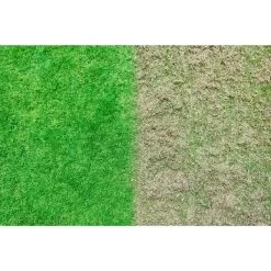 Ryobi ONE+ Brushless Akku-Vertikutierer RY18SFX35A-0, 18 Volt 19 Ryobi ONE+ Brushless Akku-Vertikutierer RY18SFX35A-0, 18 Volt -Gartenwerkzeuge Geschäft Ryobi ONE Brushless Akku Vertikutierer RY18SFX35A 0 18 Volt@@9whcey00 8