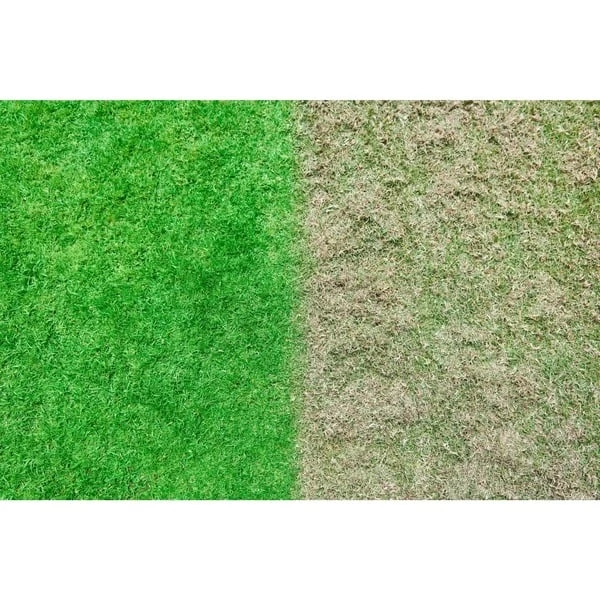 Ryobi ONE+ Brushless Akku-Vertikutierer RY18SFX35A-0, 18 Volt 11 Ryobi ONE+ Brushless Akku-Vertikutierer RY18SFX35A-0, 18 Volt – Bild 9