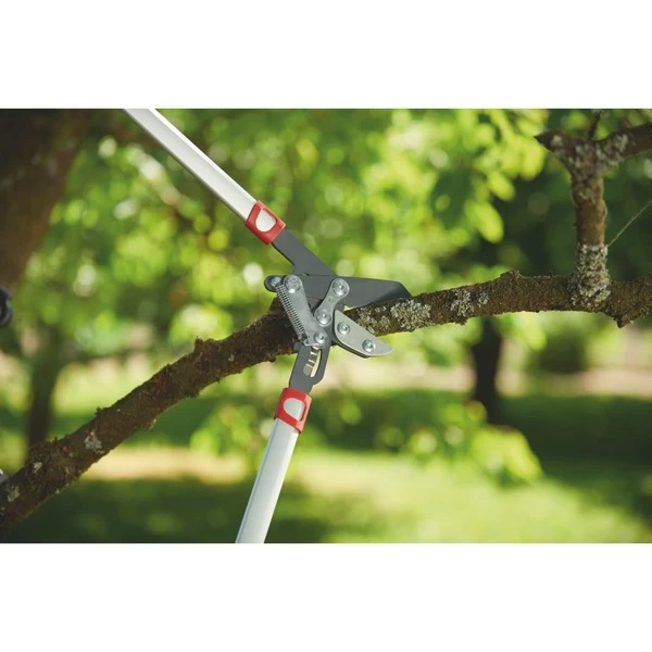 WOLF-Garten Amboss-Astschere Power Cut RS 800 V 12 WOLF-Garten Amboss-Astschere Power Cut RS 800 V – Bild 10