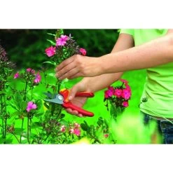 WOLF-Garten Gartenschere Basic Plus RR 1500 7 WOLF-Garten Gartenschere Basic Plus RR 1500 -Gartenwerkzeuge Geschäft WOLF Garten Gartenschere Basic Plus RR 1500@@1346880 2