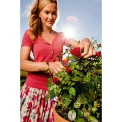 WOLF-Garten Gartenschere RR 4000 "Premium Plus" 19 WOLF-Garten Gartenschere RR 4000 "Premium Plus" -Gartenwerkzeuge Geschäft WOLF Garten Gartenschere RR 4000 Premium Plus @@1346882 7