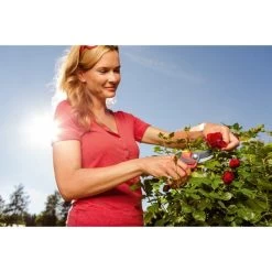 WOLF-Garten Gartenschere RR 4000 "Premium Plus" 20 WOLF-Garten Gartenschere RR 4000 "Premium Plus" -Gartenwerkzeuge Geschäft WOLF Garten Gartenschere RR 4000 Premium Plus @@1346882 8