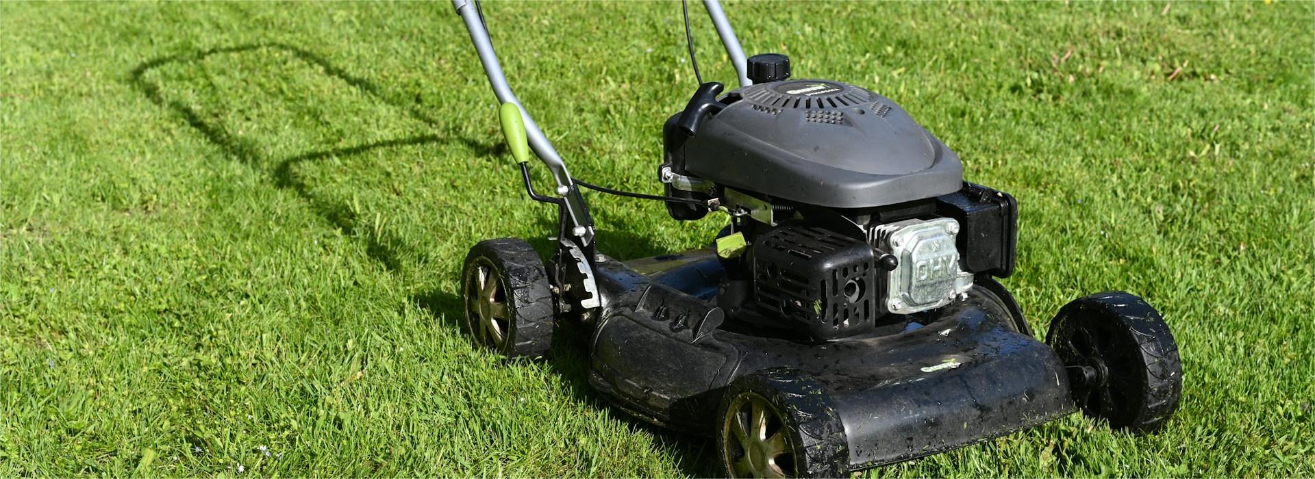 Gartenwerkzeuge Geschäft -Gartenwerkzeuge Geschäft andres siimon zfwyrIA6bFw unsplash